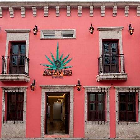 טקילה Nueve Agaves Hotel מראה חיצוני תמונה